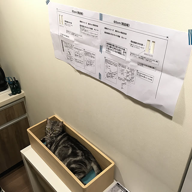 mikomaruさんの実例写真