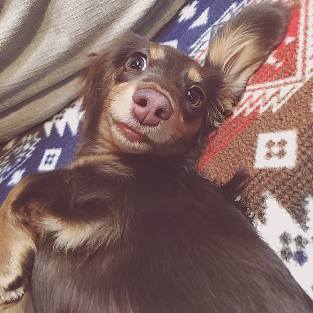 ivufuuさんの実例写真