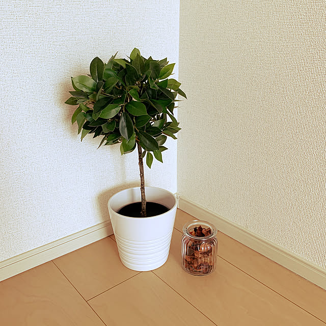 kusomisa_0531さんの実例写真