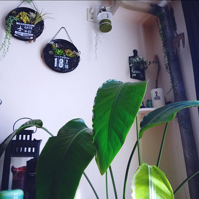 oririnさんの実例写真