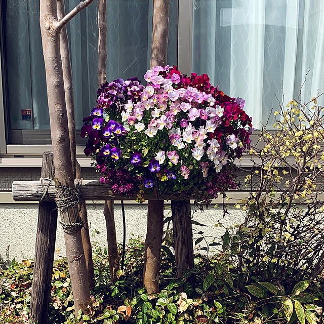yukarin-gardenさんの実例写真