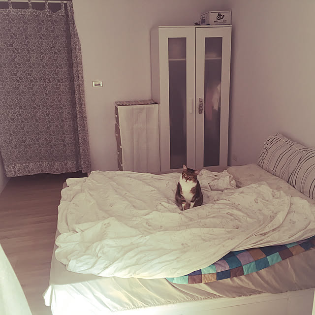 IKEA/ベッド周りのインテリア実例 - 2019-10-05 13:23:44
