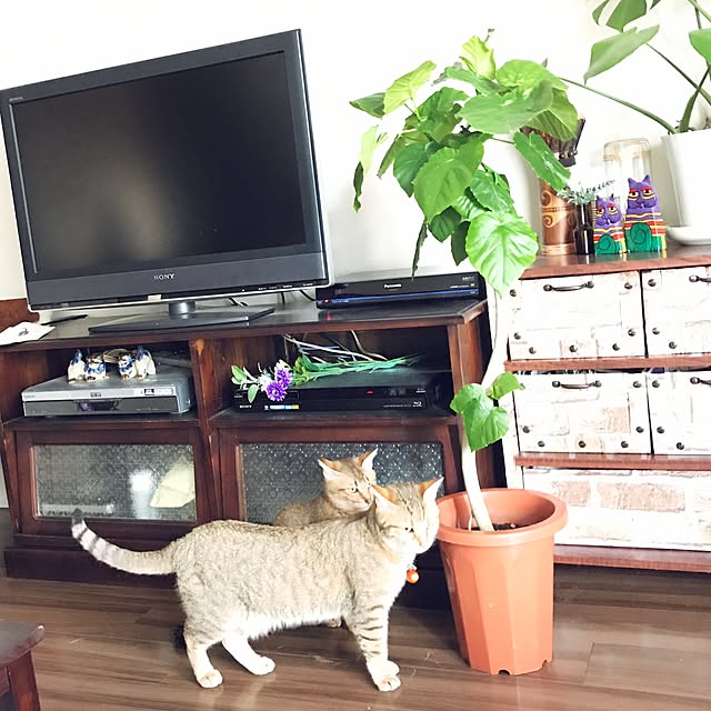 1633さんの実例写真