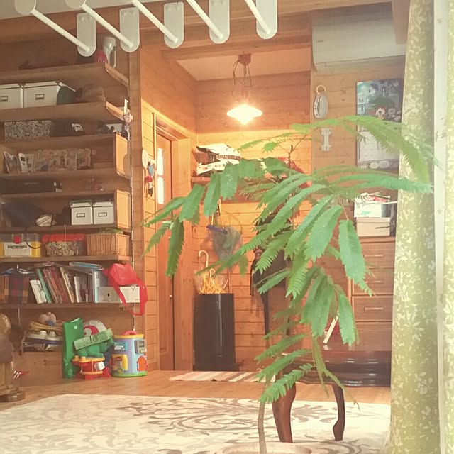 Rikiさんの実例写真