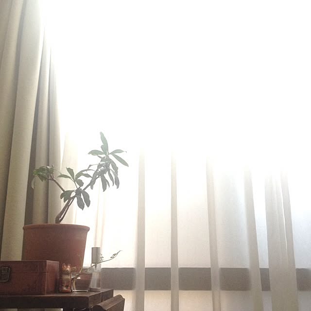 Kunlunflower297さんの実例写真