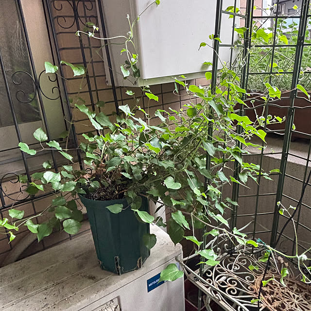 satsuki1605さんの部屋