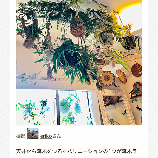erikoさんの実例写真