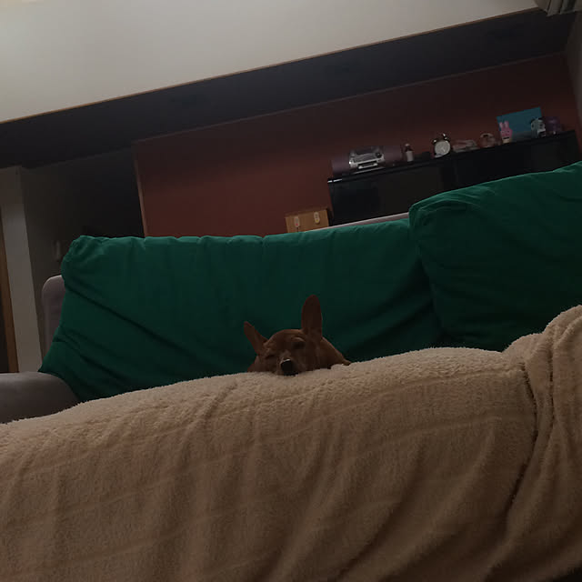 kemukujyaraさんの実例写真