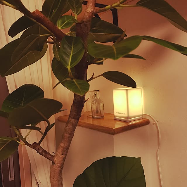 kanadekkoさんの実例写真