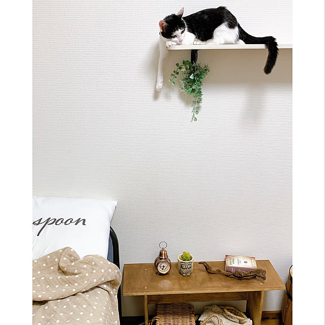 harukaさんの実例写真