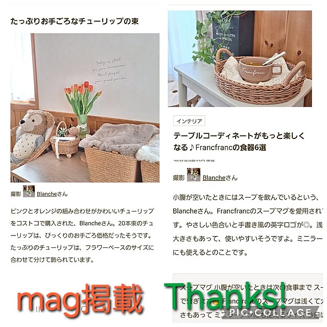 Blancheさんの実例写真
