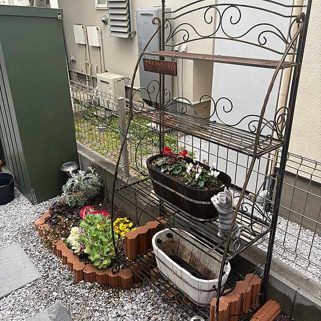 ikuzakさんの実例写真