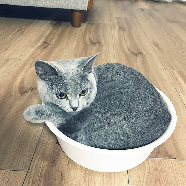 muuchamaさんの実例写真