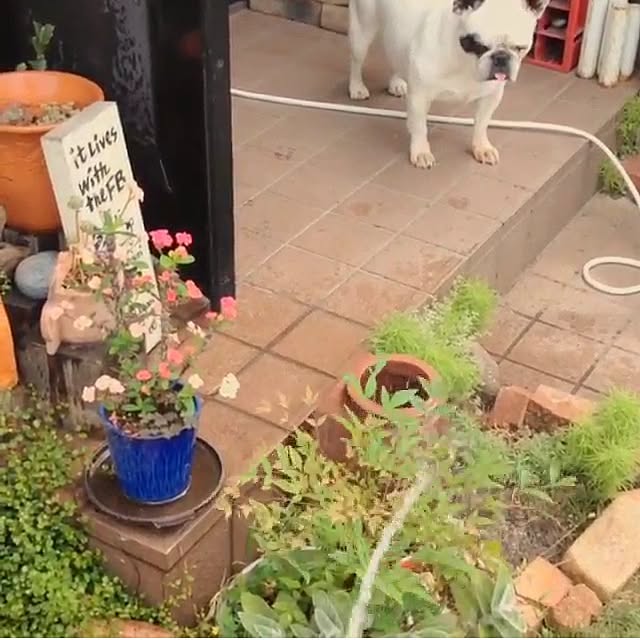 38coreさんの実例写真