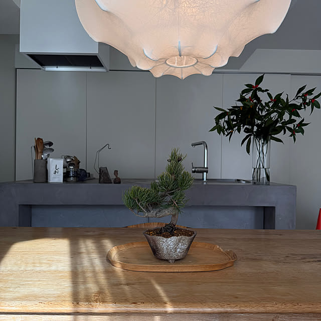 momoさんの実例写真