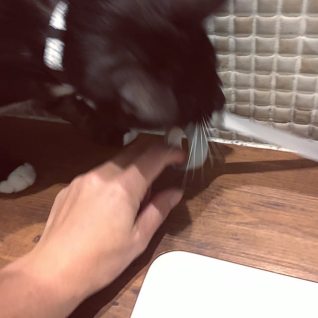 masamasaさんの実例写真