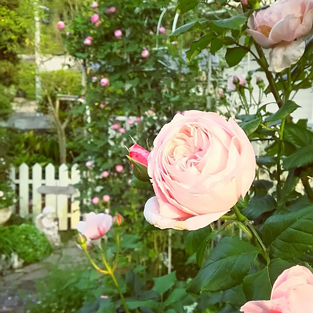 s.mamaさんの実例写真