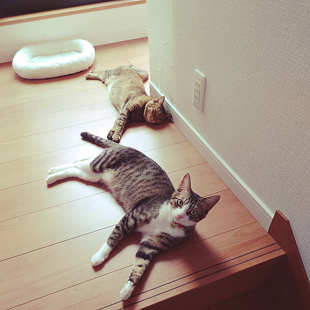 mochicoさんの実例写真