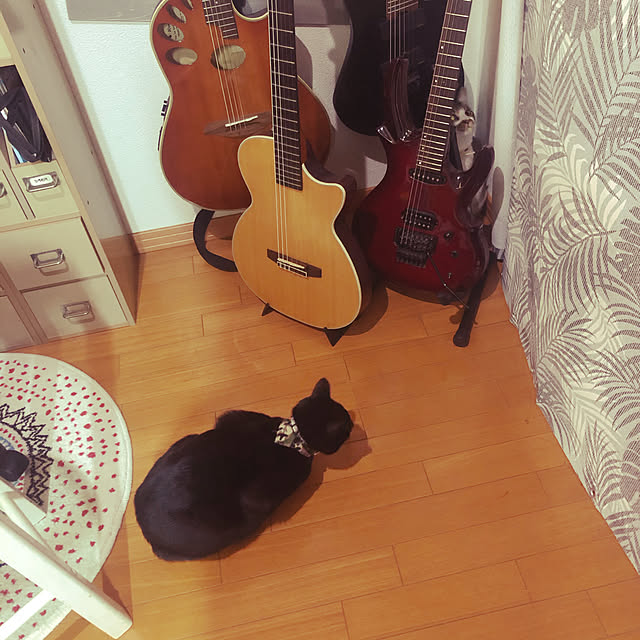 jijiさんの実例写真