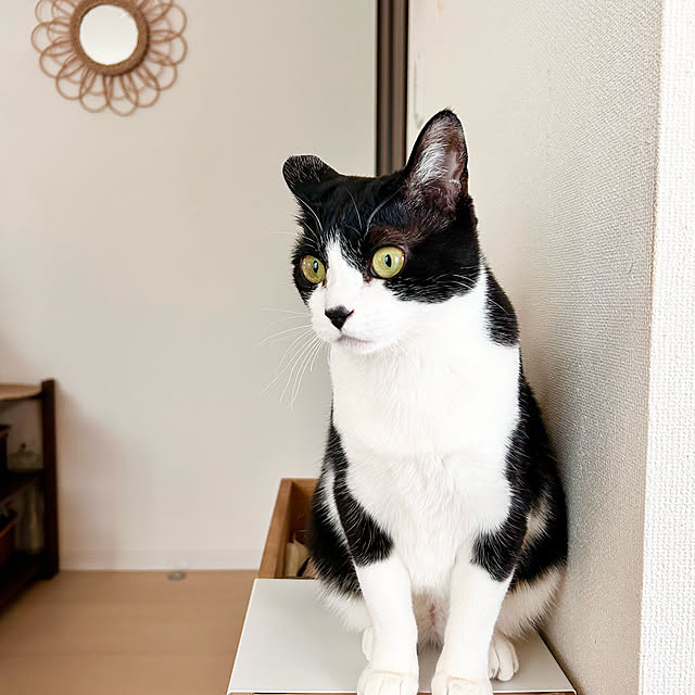 Miyu_さんの部屋