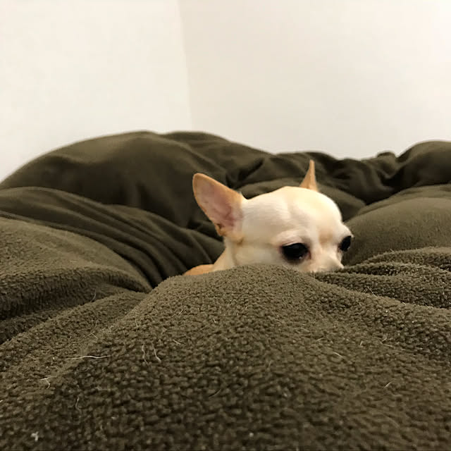 nacchintunnさんの実例写真