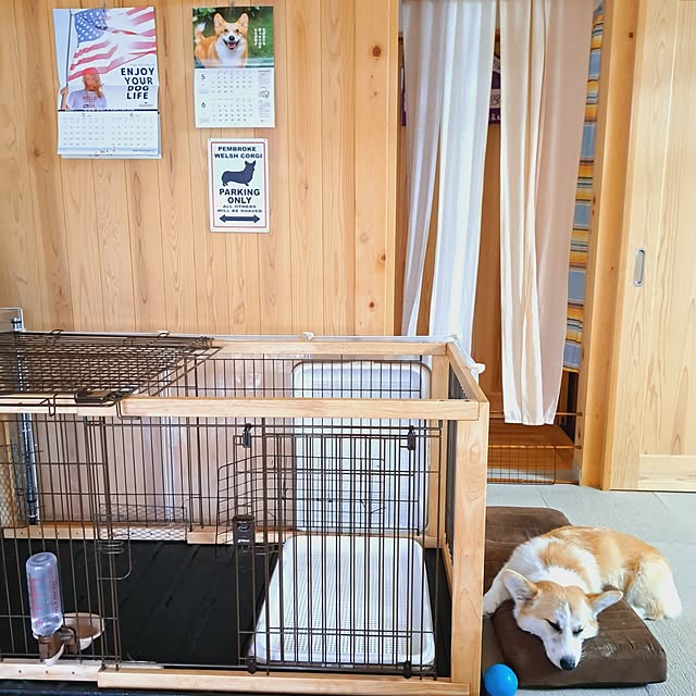 kazuraさんの部屋