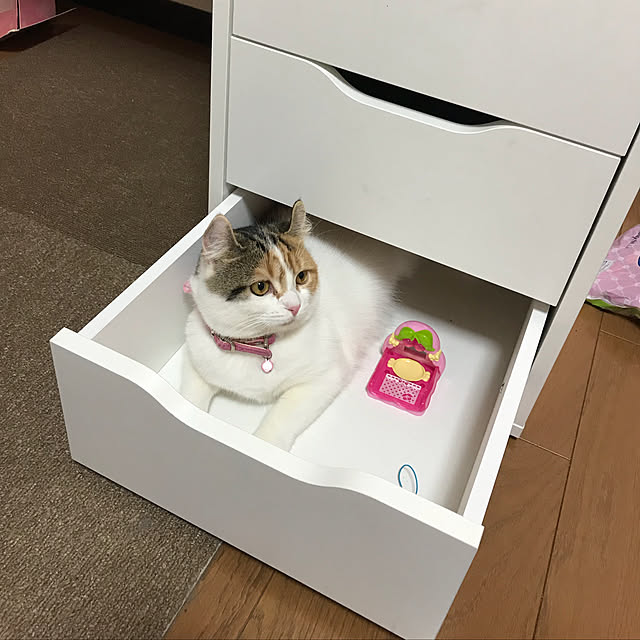 RAINBOWさんの実例写真