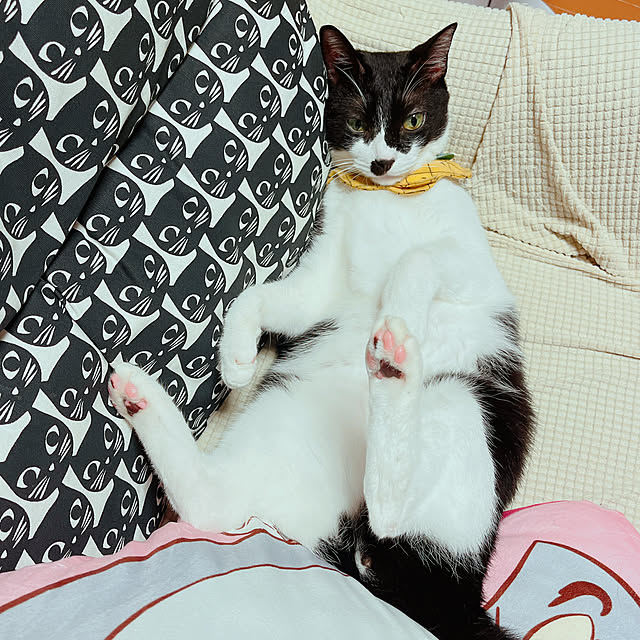 moolさんの部屋