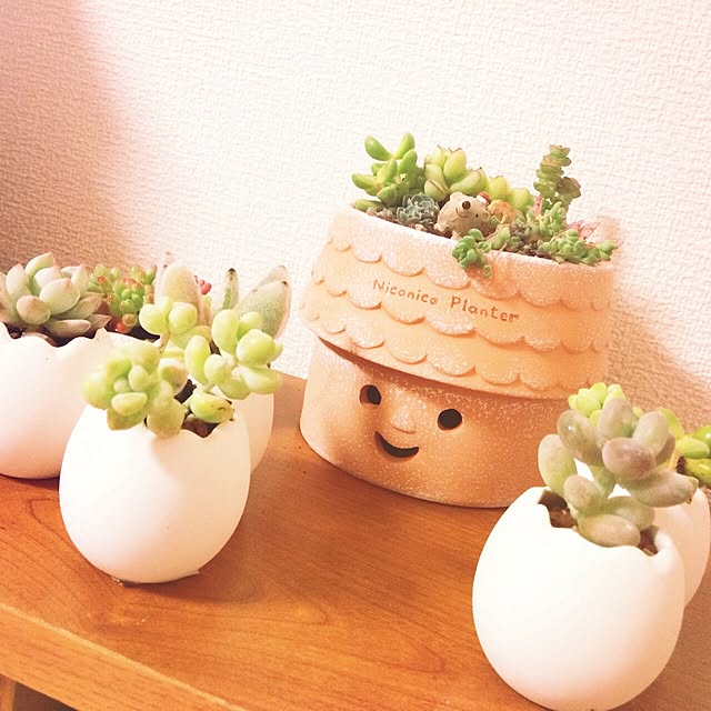 tomopyonさんの実例写真