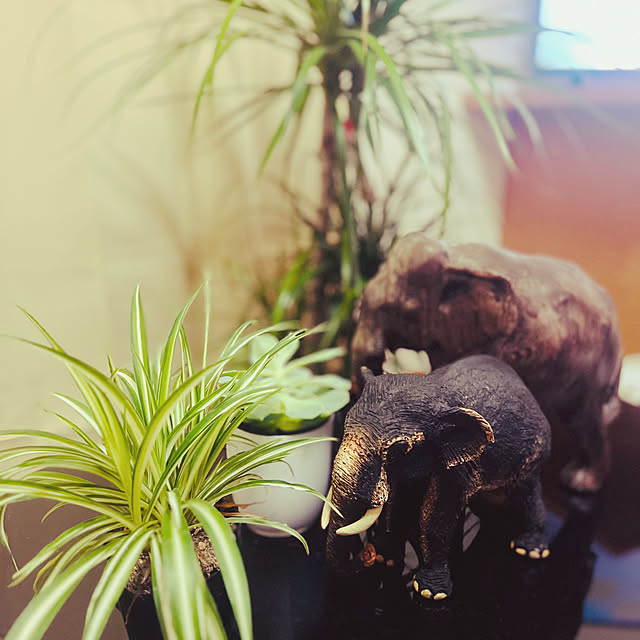 pradeepさんの実例写真