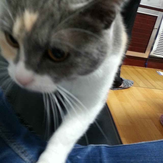 Seikoさんの実例写真