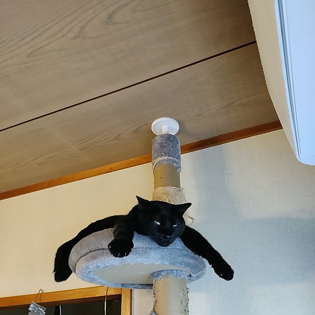 Tさんの実例写真