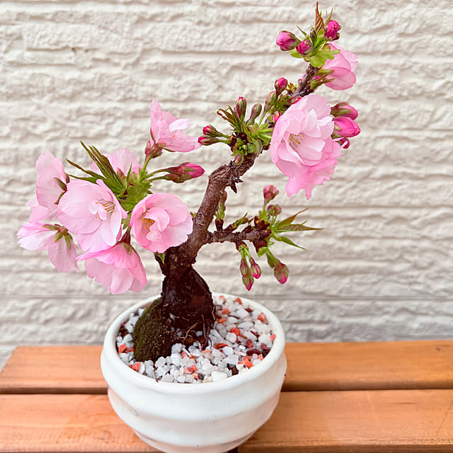 tocchiさんの部屋