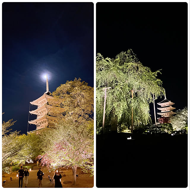 実例写真