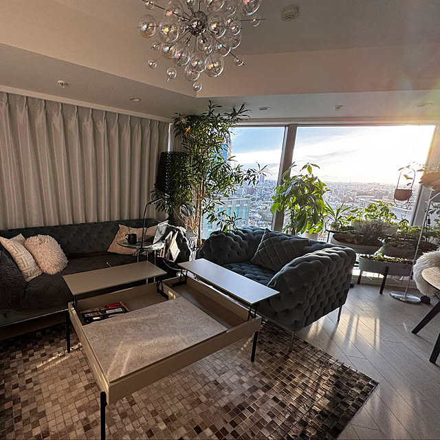 miieさんの実例写真