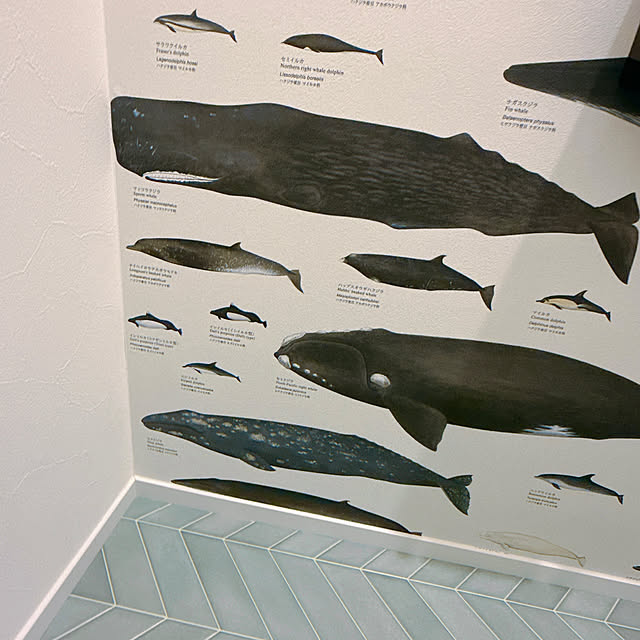 fk3939さんの部屋