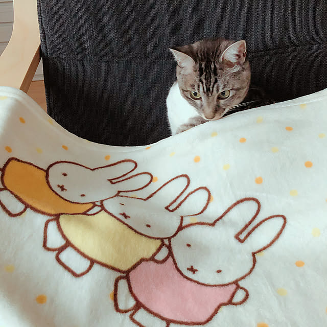 muuさんの実例写真