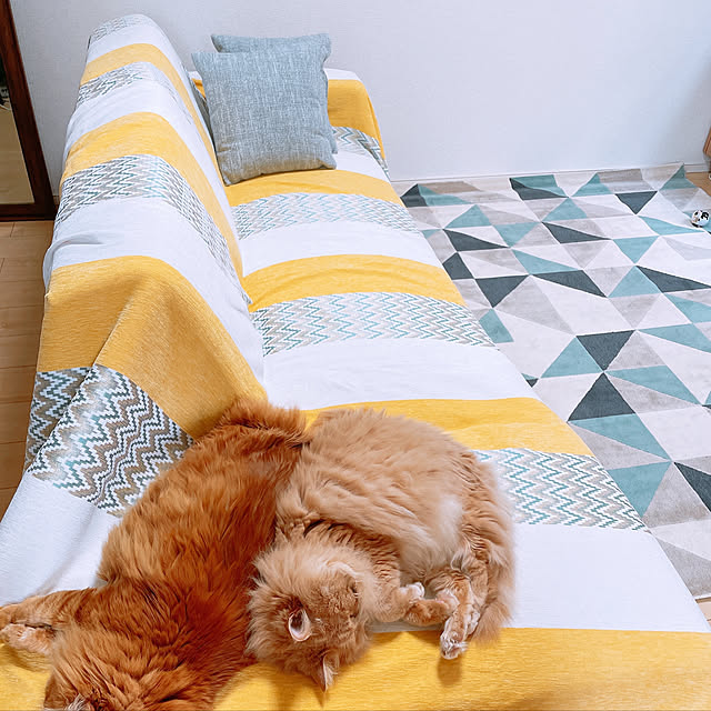 kinrikoさんの実例写真
