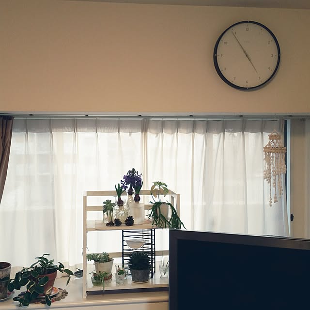 kiaさんの実例写真
