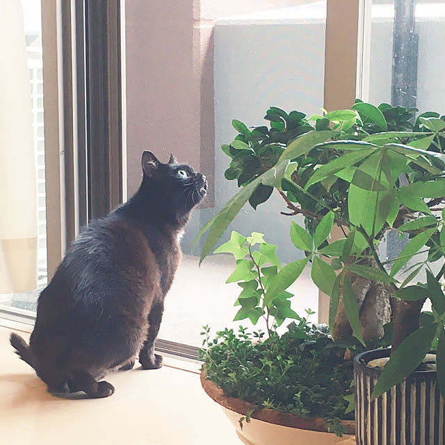 oasisさんの実例写真