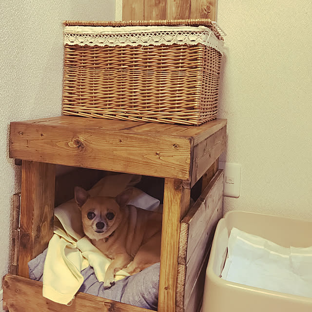 mamayuさんの実例写真