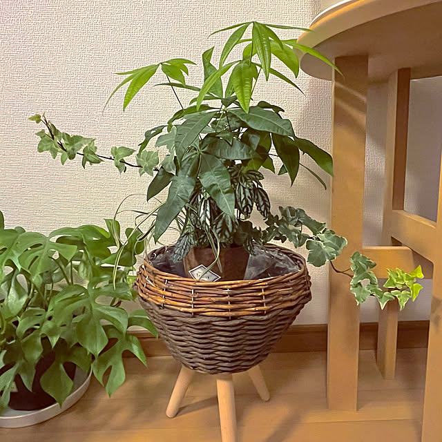 sanaさんの実例写真