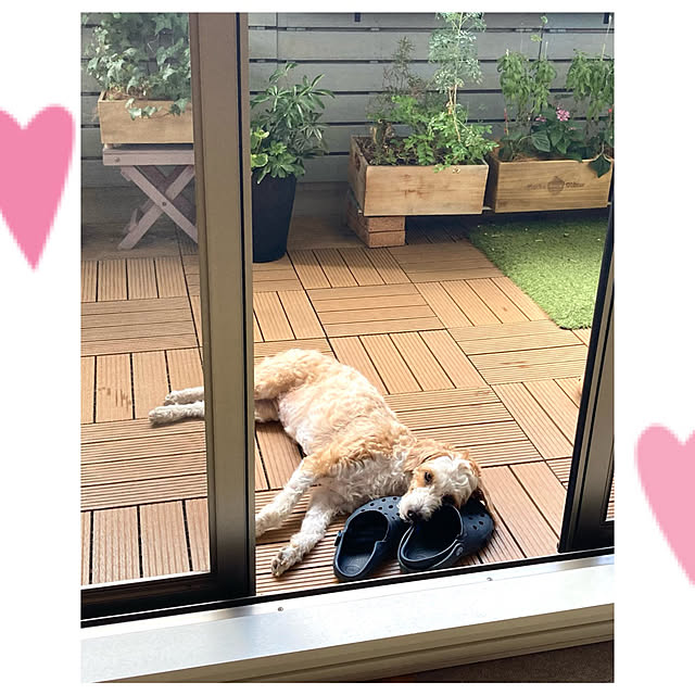 marukoさんの部屋