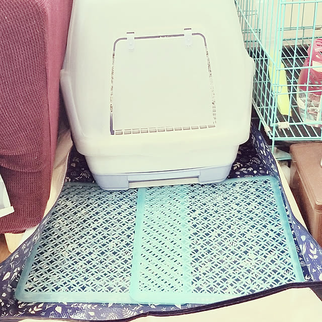 airuhinaさんの実例写真