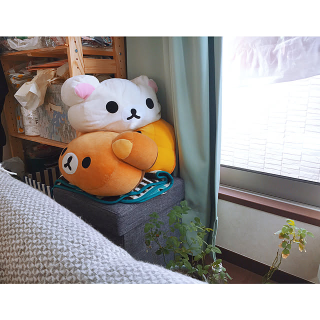 nokoさんの実例写真