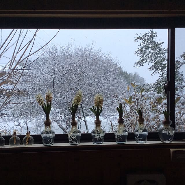 20rose_mamiさんの実例写真