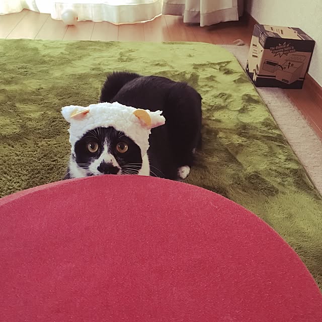 mari23さんの実例写真