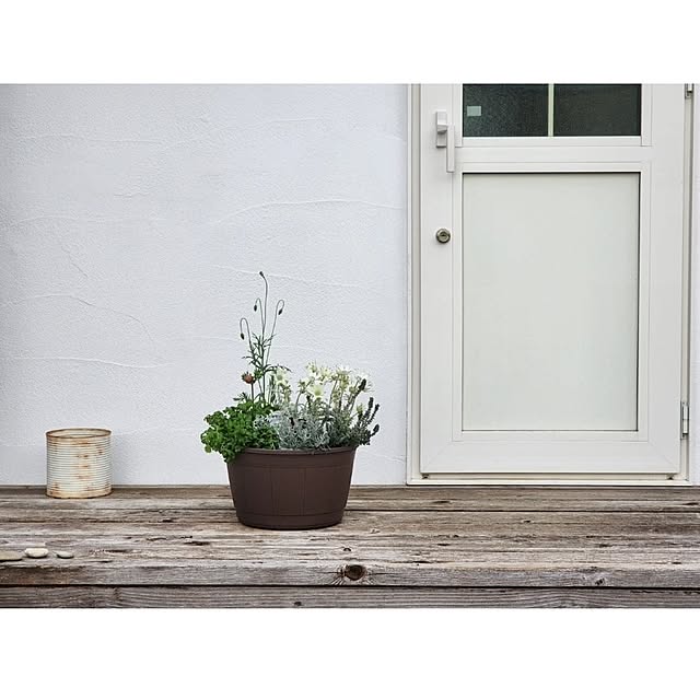 chiii13さんの実例写真