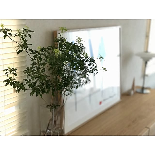 stcm.homeさんの実例写真