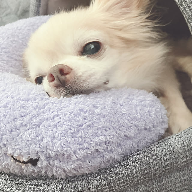 MIUさんの実例写真